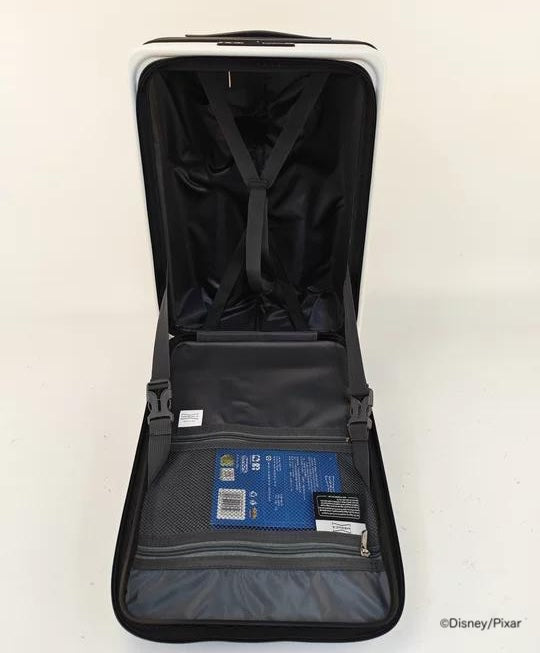キャリーケース / トイ・ストーリー　20L　小型サイズ　機内持ち込み可能サイズ　DH62464-G